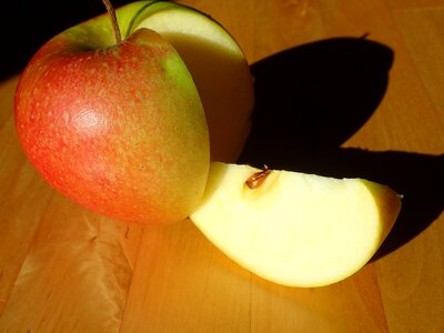 Fruit fruits nutrition