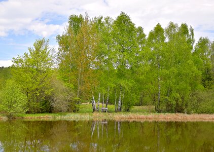 Bank spring green