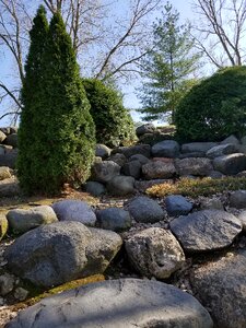 Outdoor summer spring
