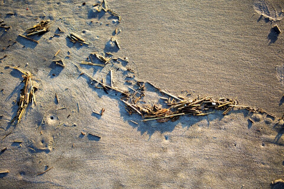 Water sea beach
