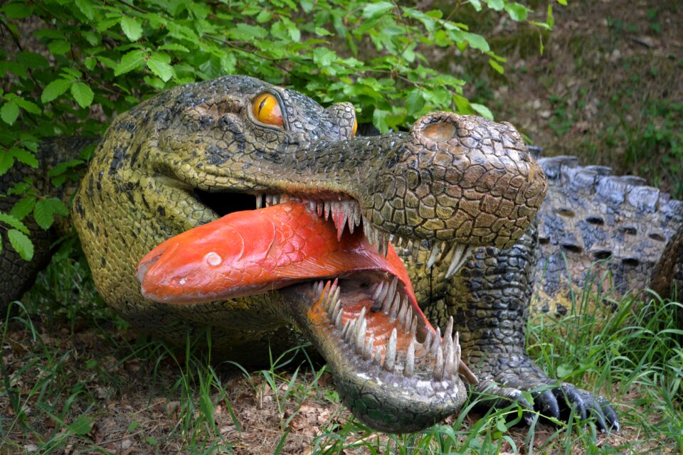 Dino-park wedde netherlands