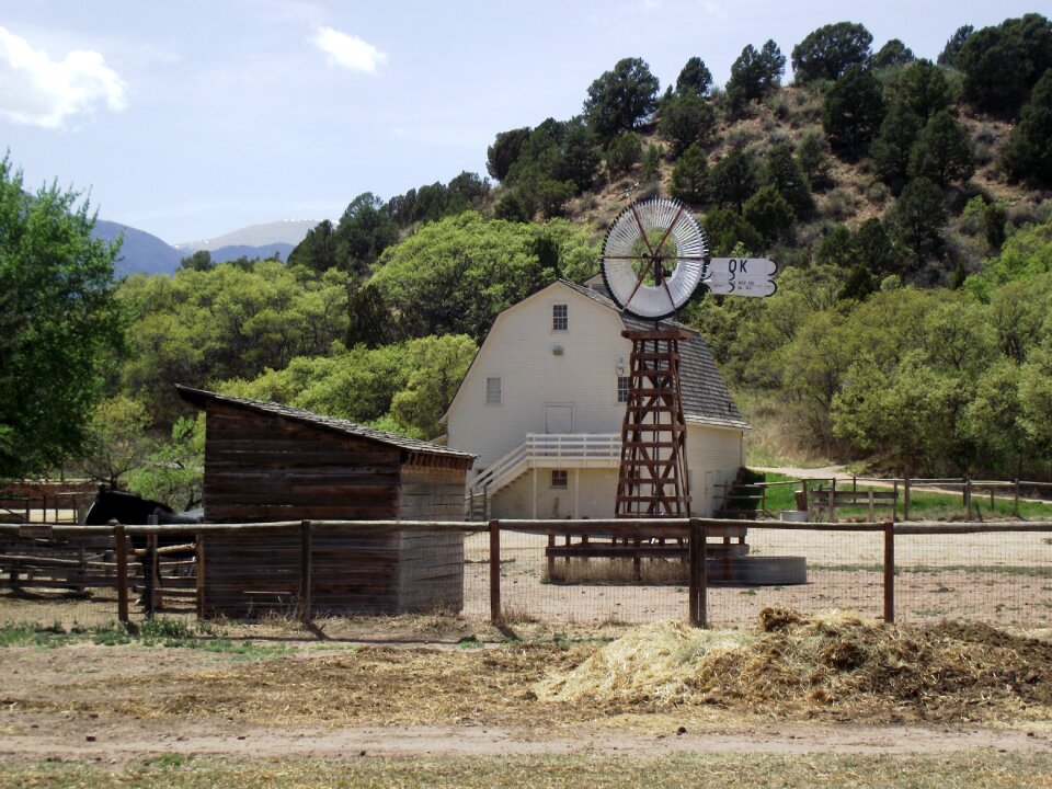 Countryside domestic country