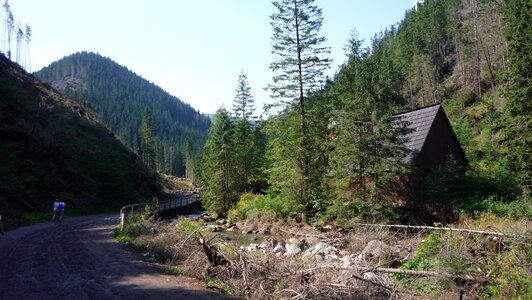 Landscape nature the national park photo