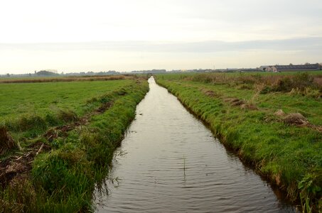 Nature reserve the birch