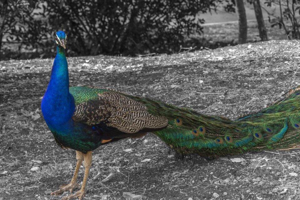 Colorful nature