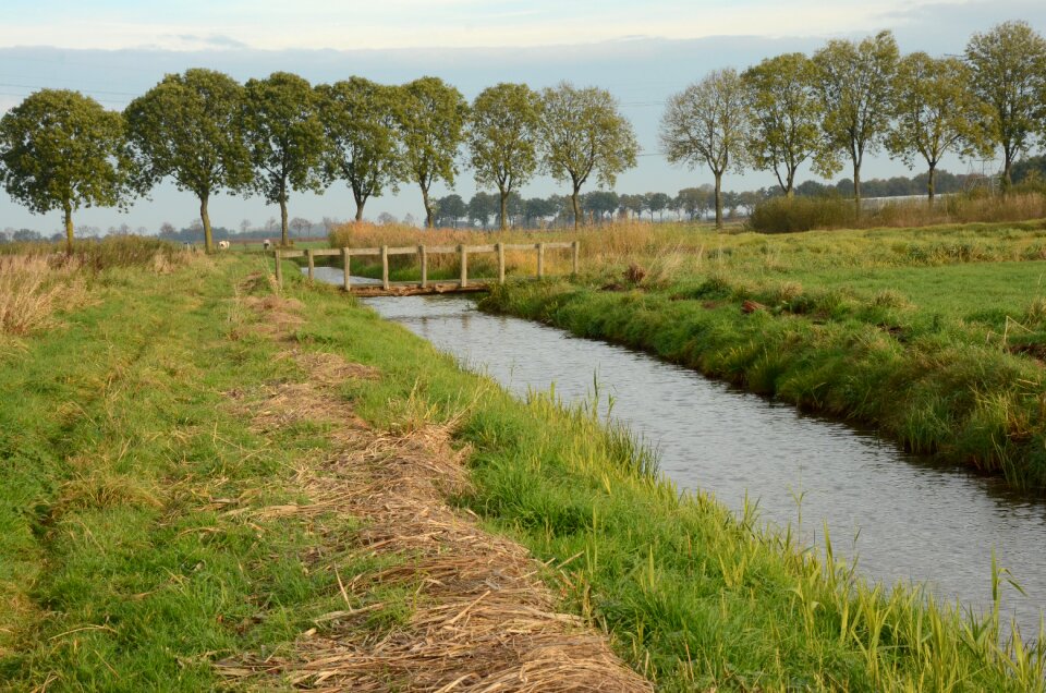 Nature reserve the birch
