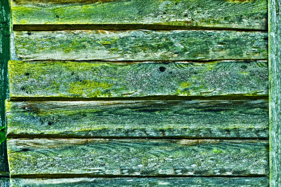 Panel wood wooden wall photo