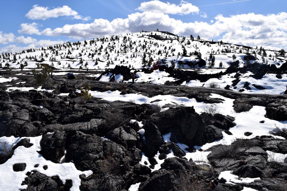 Mountain trees treeline photo