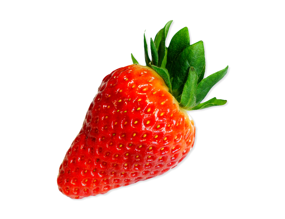 Food fresh healthy