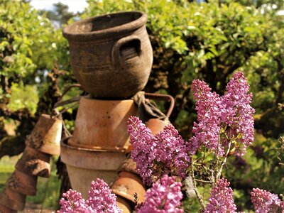 Flower pot sculpture photo