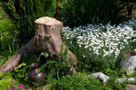 Nature trunk jug
