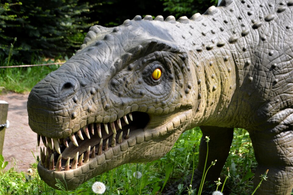 Dino-park wedde netherlands