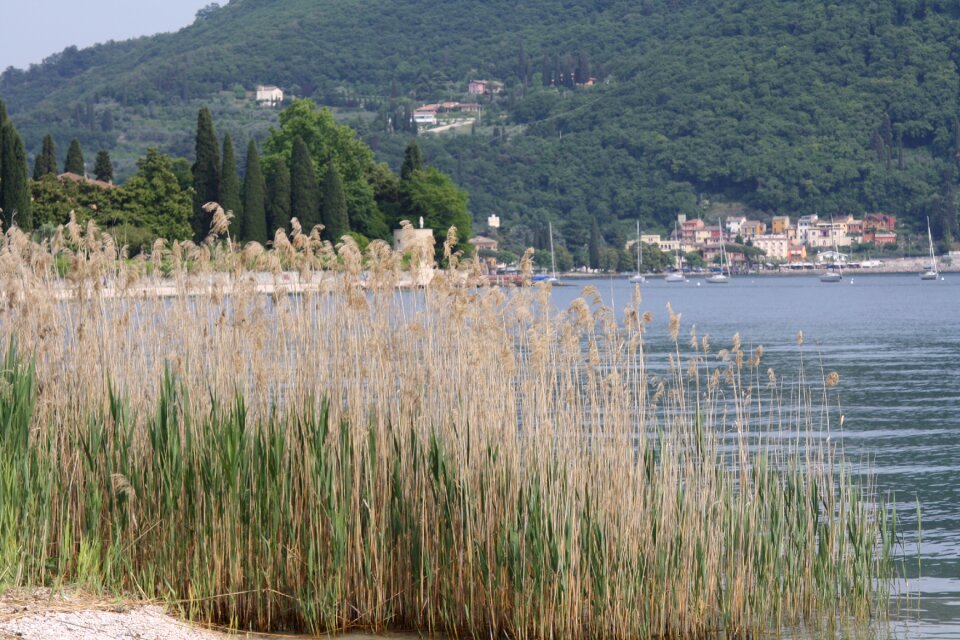 Lake mountains nature