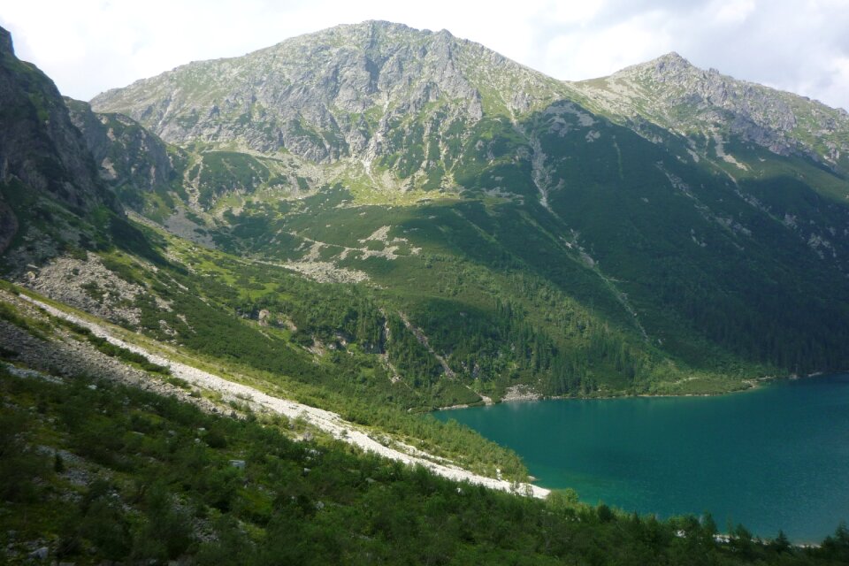 Landscape nature the national park