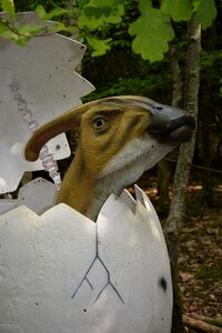 Dino-park wedde netherlands