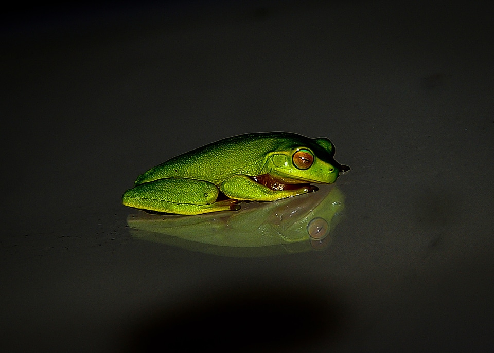 Small reflection night