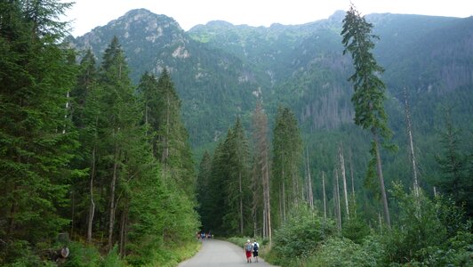 Landscape nature the national park