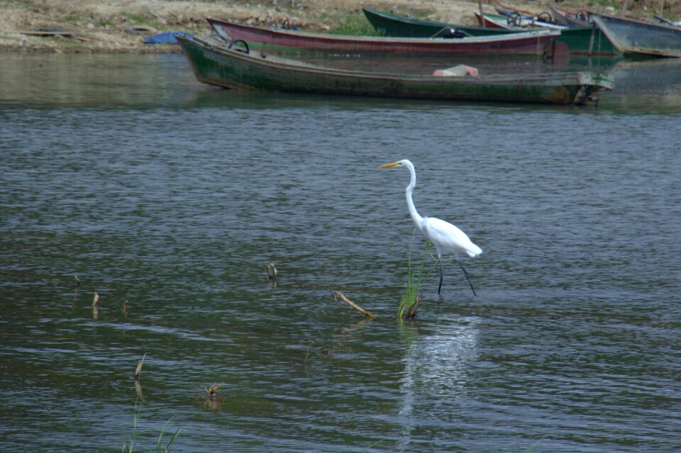 Rio velhochico landscape