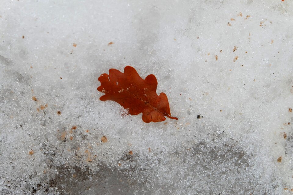 Loneliness snow wet sheet