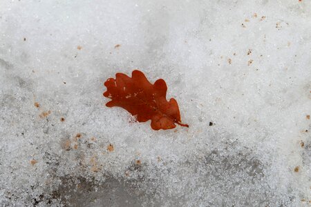 Loneliness snow wet sheet
