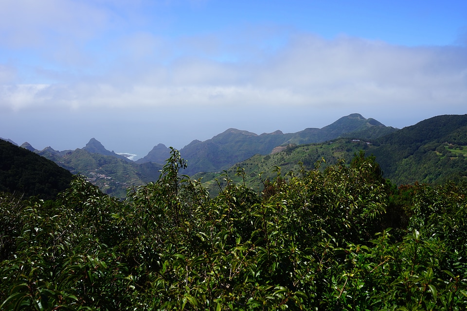 Canary islands cruz del carmen anaga landschaftspark