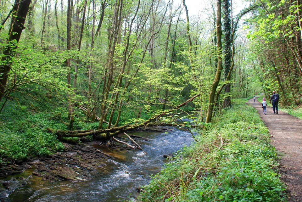River environment outdoor