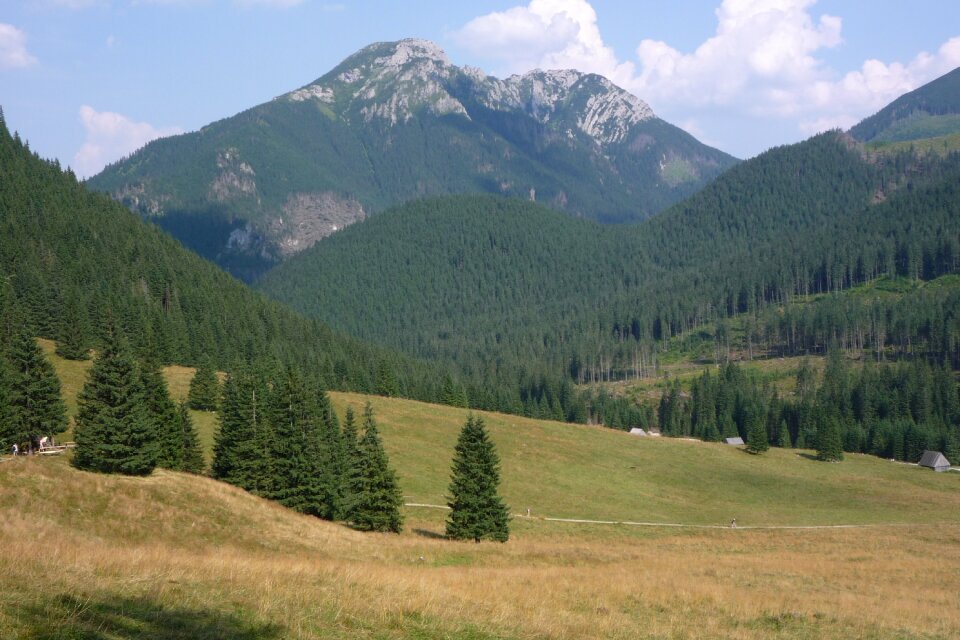 Landscape nature the national park