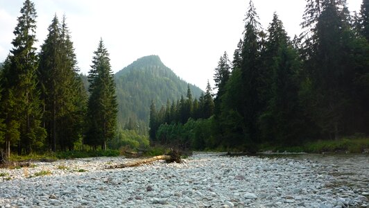 Landscape nature the national park photo