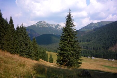 Landscape nature the national park