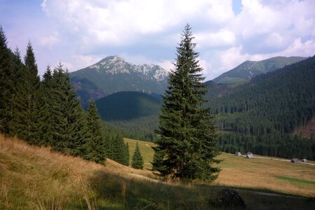 Landscape nature the national park photo