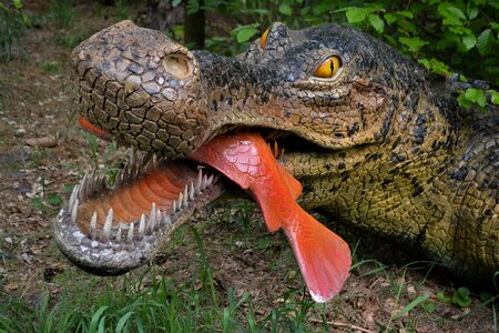 Dino-park wedde netherlands photo