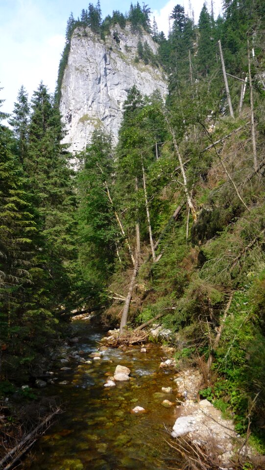 Landscape nature the national park