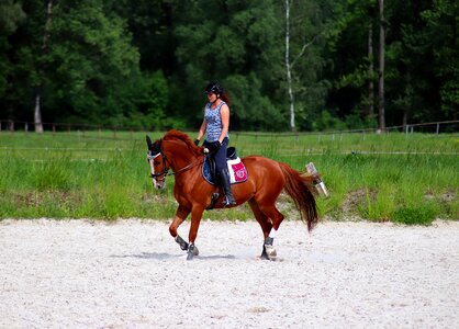 Horse training exercise