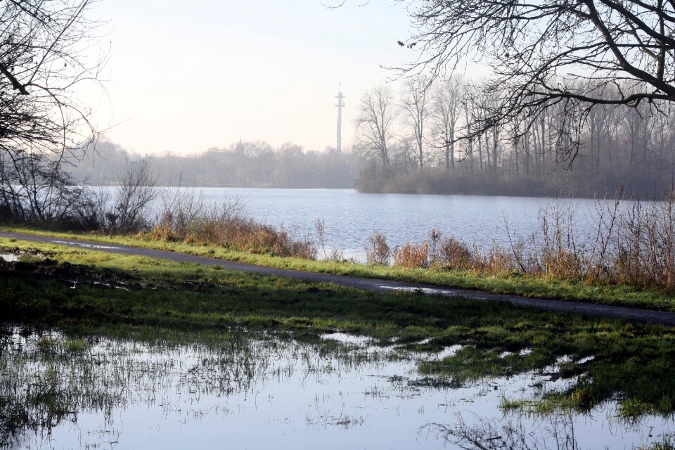 Morgenstimmung fog row