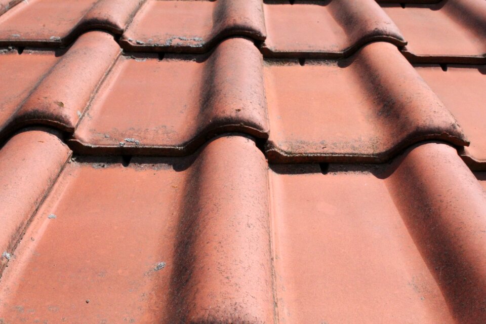 Close up red oblique