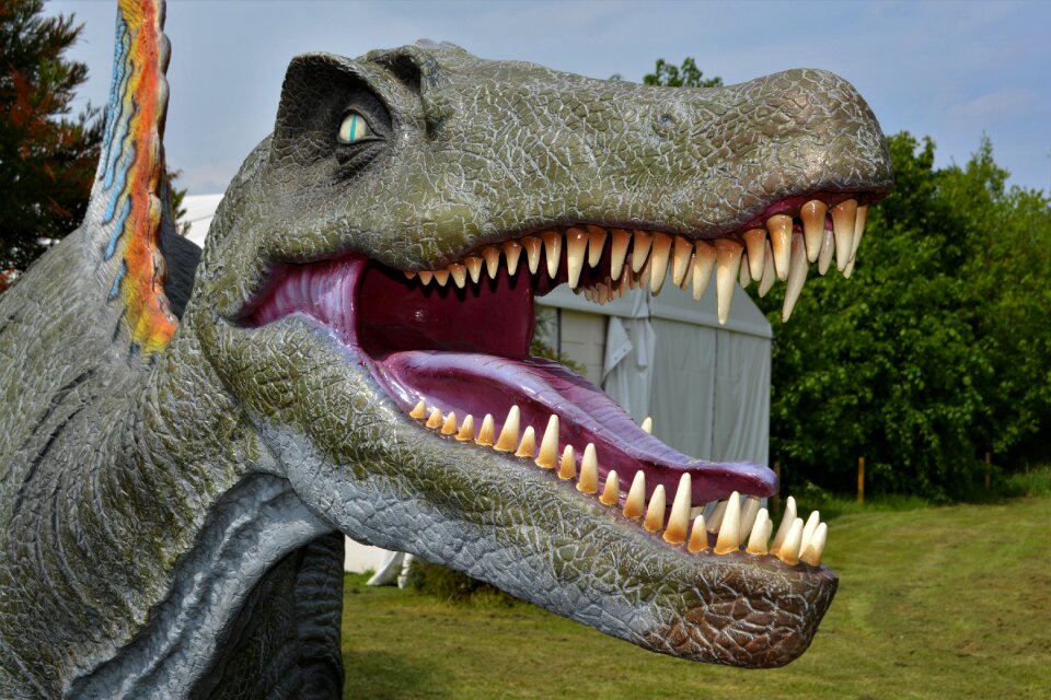 Prehistoric times carnivorous dinosaurs dino-park