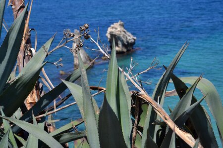 Palermo summer the sea away