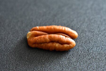 Nut walnut Free photos photo