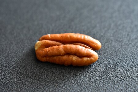 Nut walnut Free photos