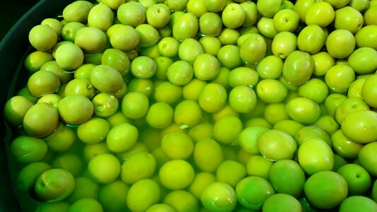 Olive Free photos