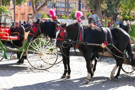 Marrakech morocco Free photos