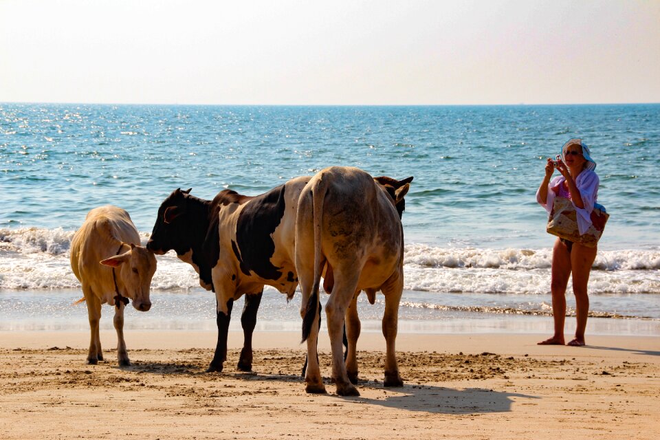 Beach sea vacations