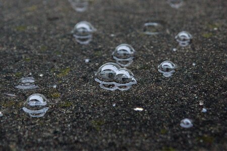 Rain water bubble photo