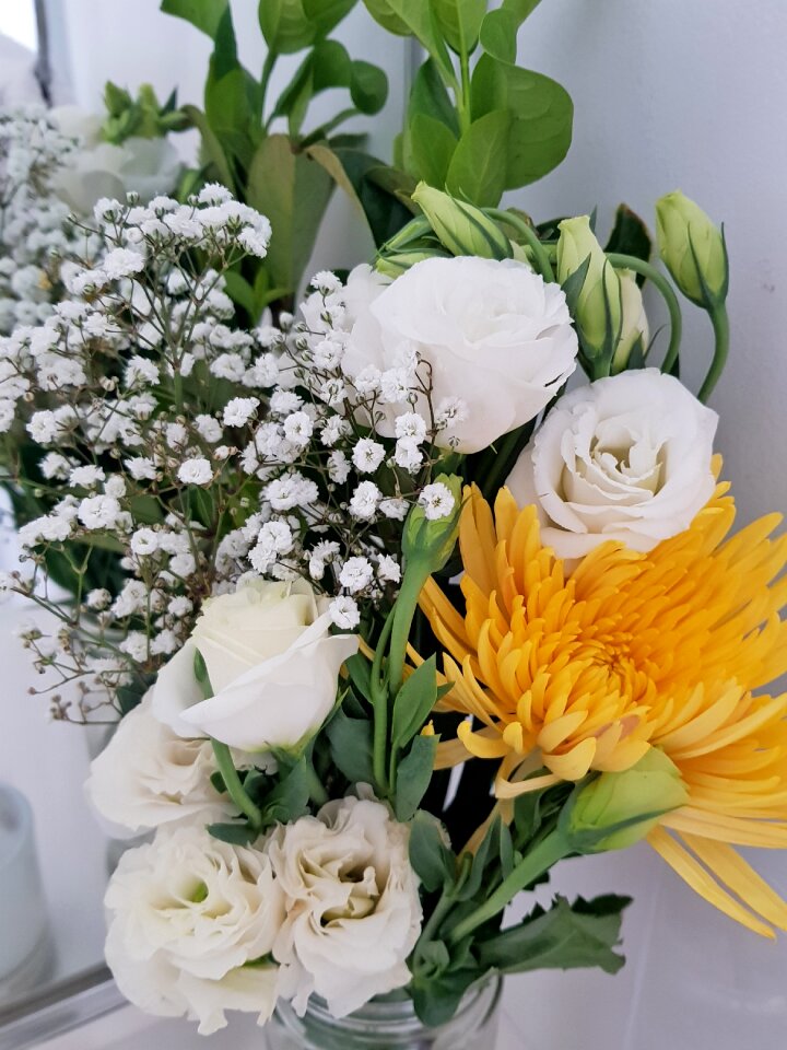 Babies breath floral pretty