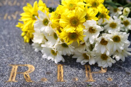 Floral nature rip