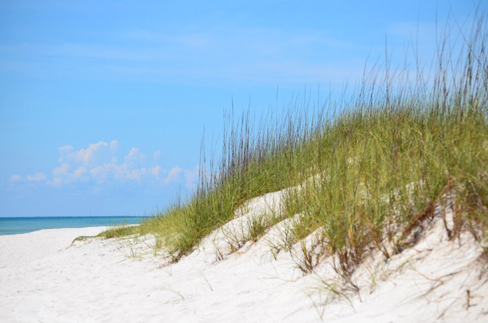 Grass sand dune vacation