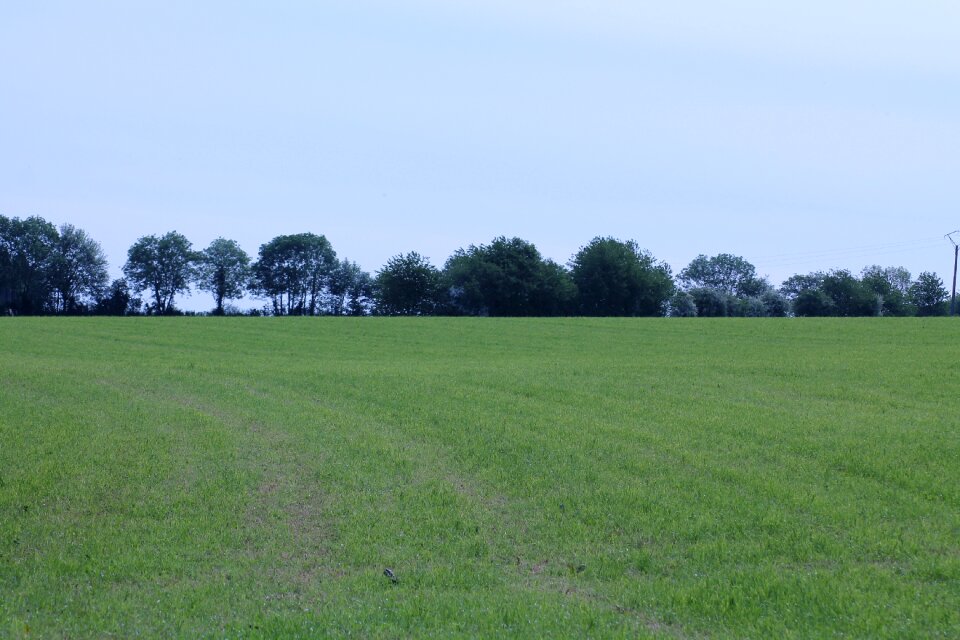 Scope landscape horizon