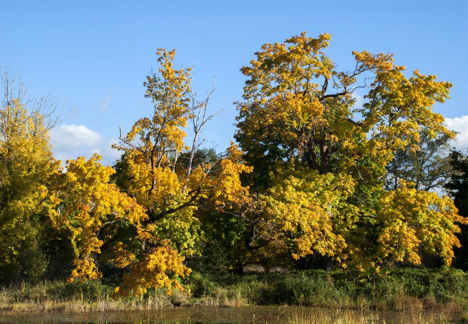 Water sky autumn