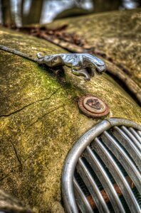 Rusty vehicle metal