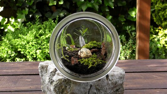 Terrarium biosphere habitat